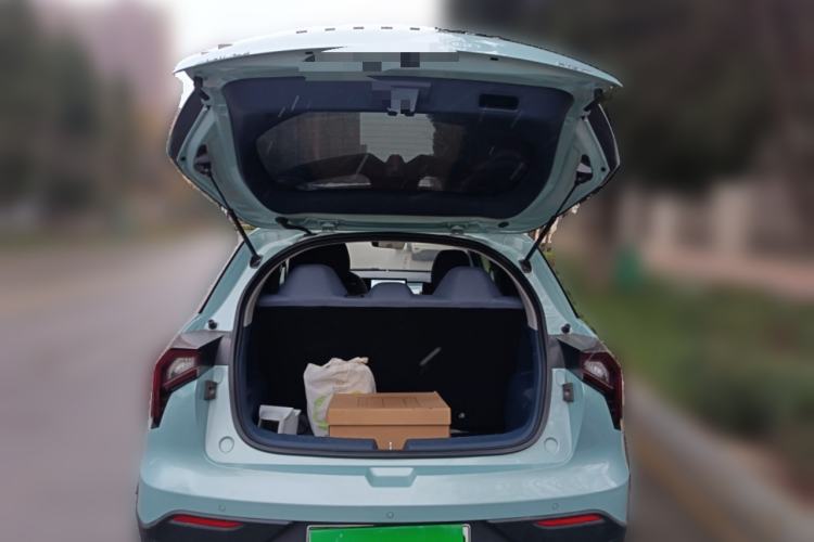 Used Geometry E Firefly 2023 401KM Linglong Tiger 5-Seater
