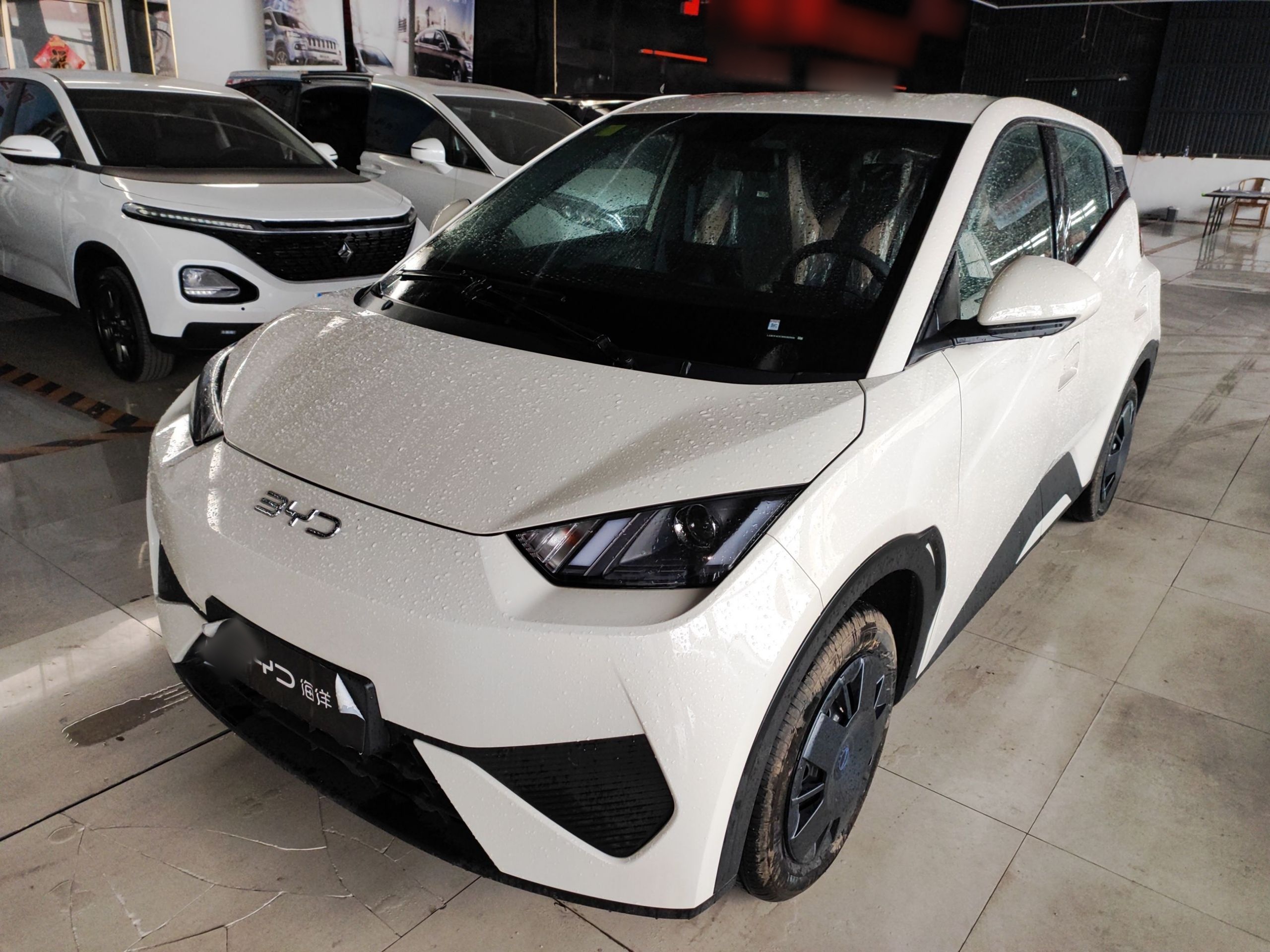 Parte inferior delantera