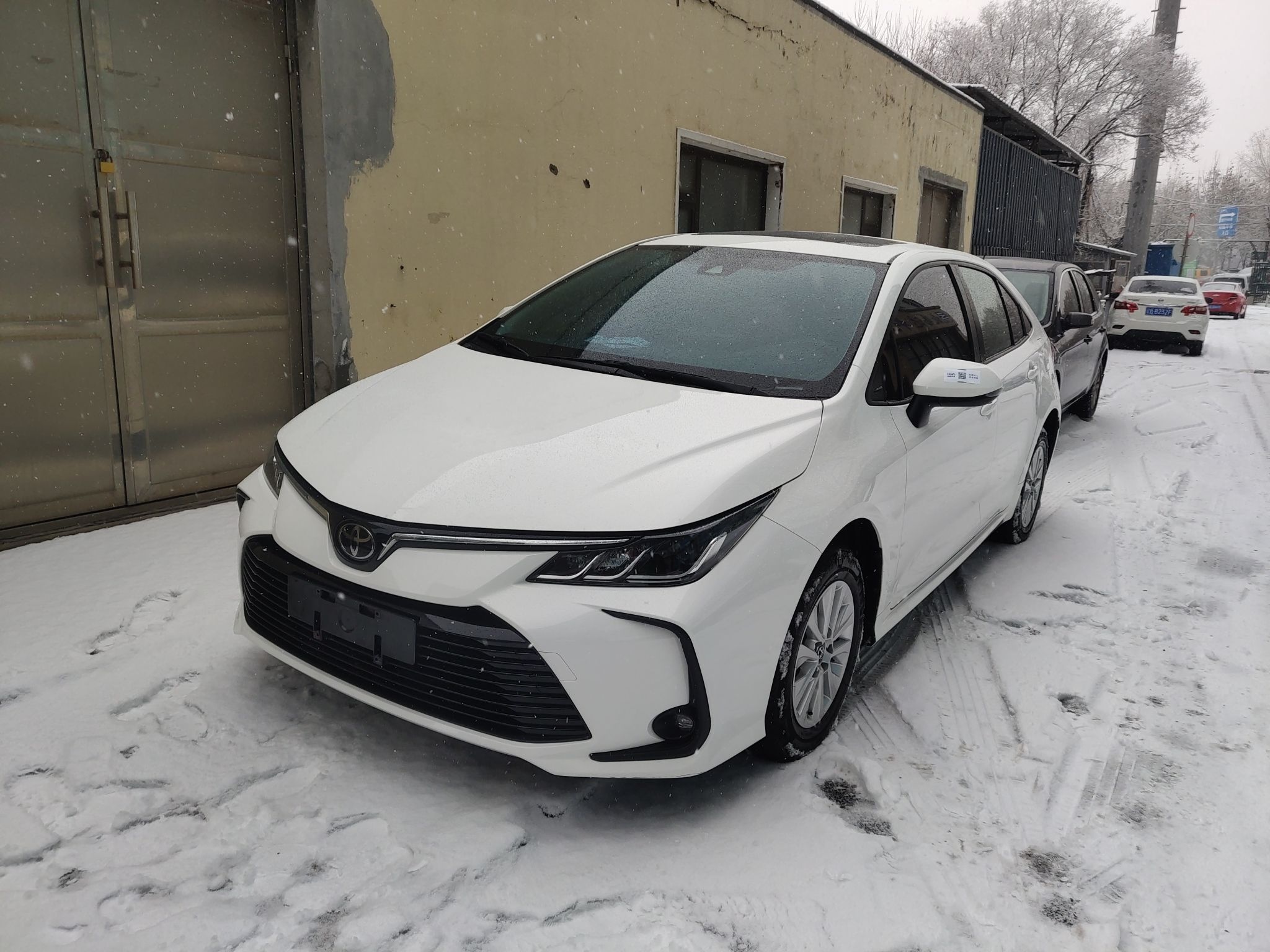 تحت مقدمة السيارة