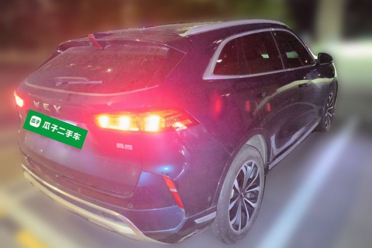 Used Wey Mocha 2021 2.0T Four-Wheel Drive Premium Edition
