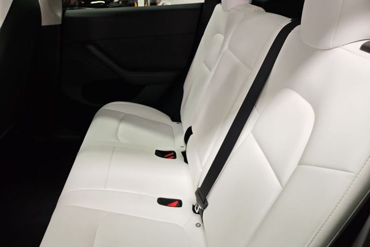 Used Tesla Model Y 2021 Standard Range Rear-Wheel Drive Version
