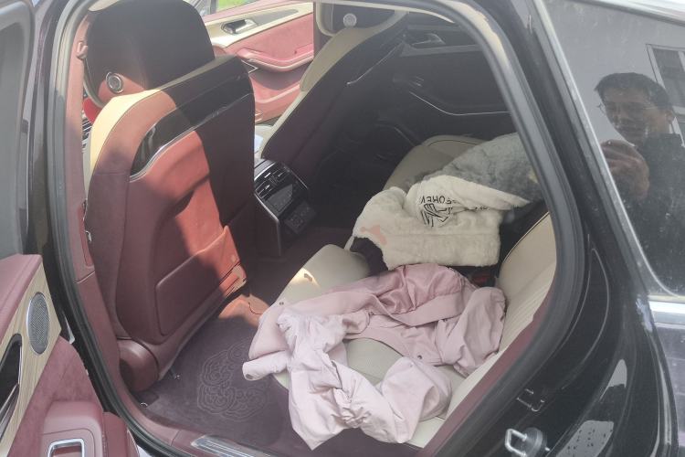 Used Hongqi H9 2020 2.0T Smart Connect Flagship Edition Left Rear Seat