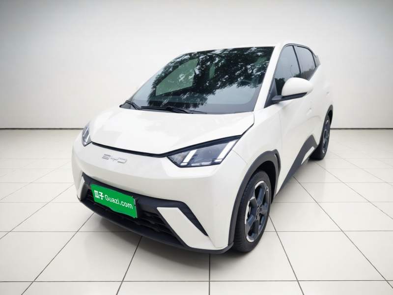 Used BYD Seagull 2023 Free Edition — 1