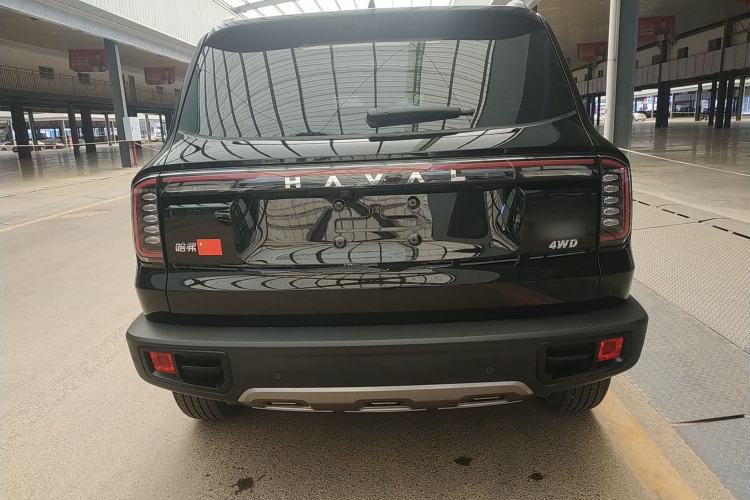 Used Haval DARGO 2024 2.0T DCT Chinese Rural Dog Edition Rear
