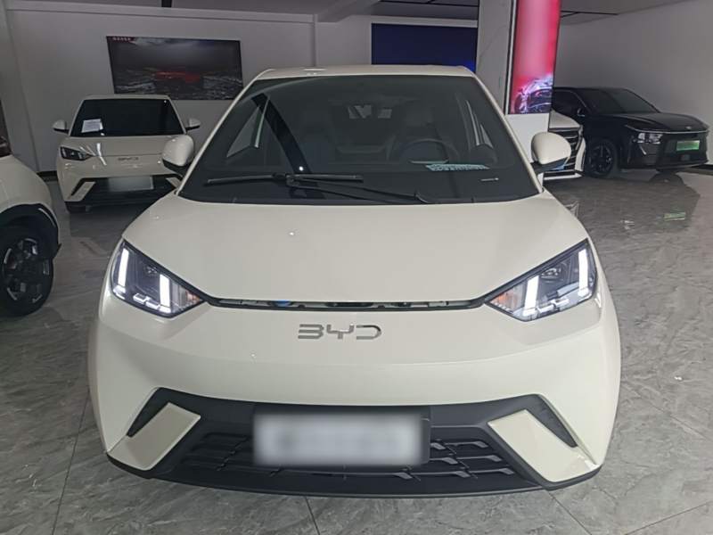 Used BYD Seagull 2024 Honor Edition 305km Freedom Version — 2