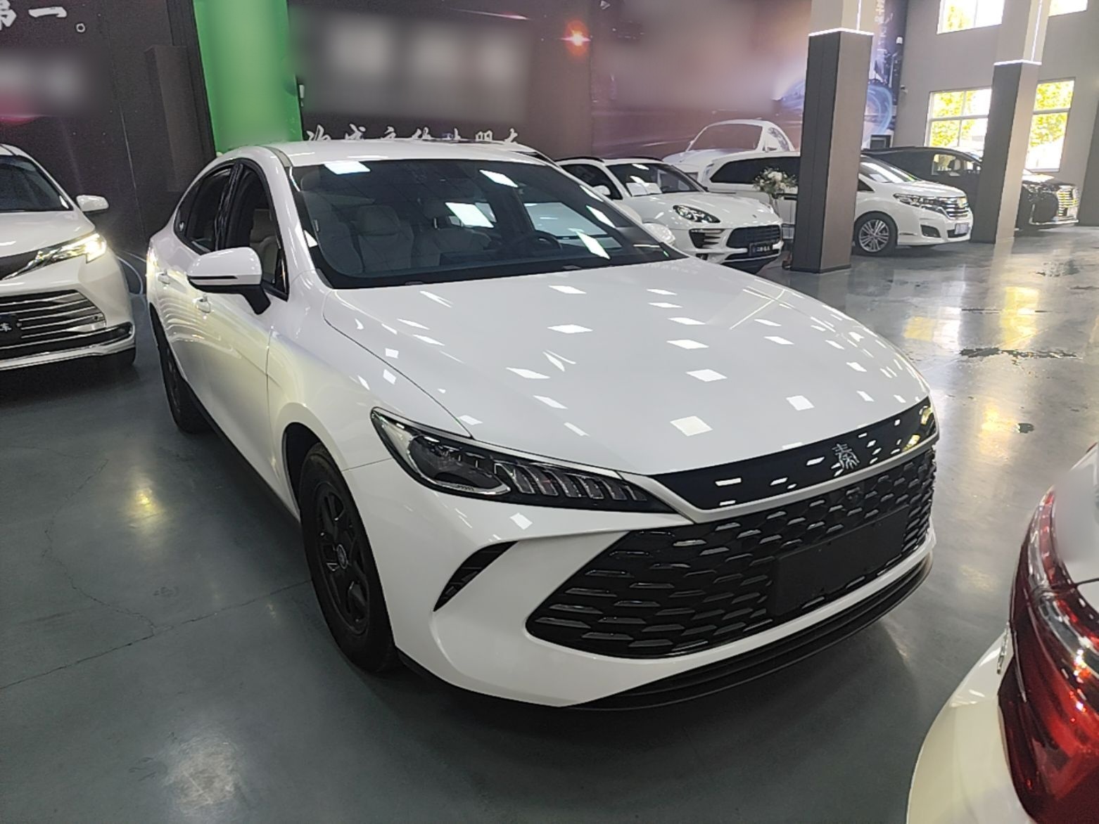 BYD Qin PLUS 2025 DM-i Smart Drive 55KM Leading Model — снимка 3