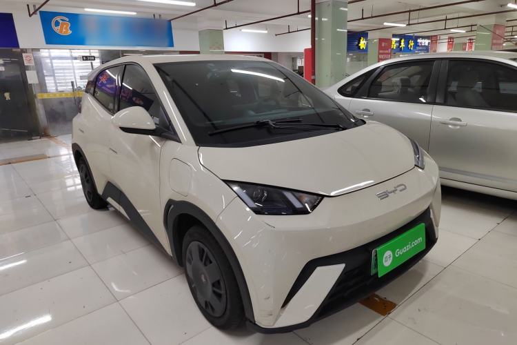 Used BYD Seagull 2023 Active Version Front Right 45 Deg