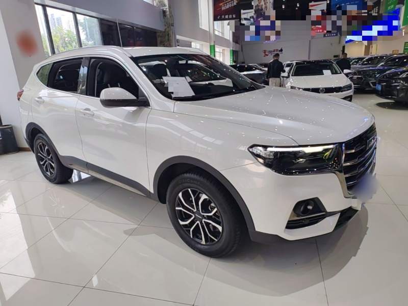 Used Haval H6 2021 National Trend Edition 1.5T Automatic Urban Version — 3