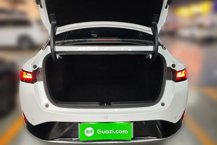 Used XPeng P5 2021 460G+ Trunk