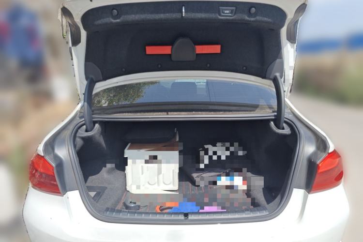 Used BMW 5 Series 2020 530Li Leading Edition Luxury Package