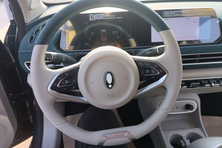 Used ORA Good Cat 2024 401 km Luxury Version