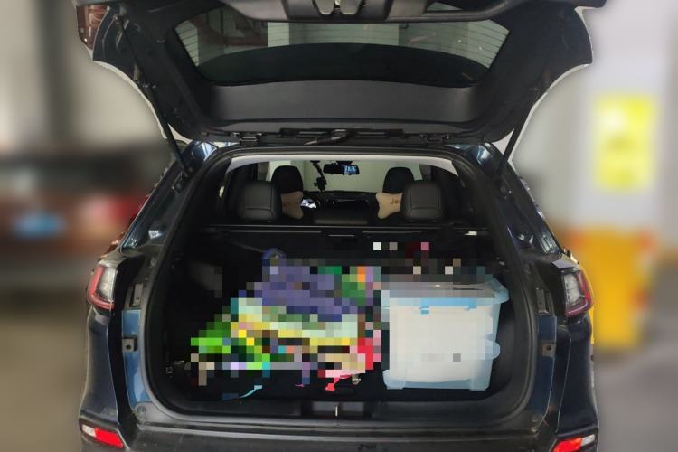 Used Jeep Cherokee 2019 2.0L 2WD Premium Edition China VI