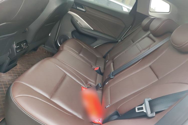 Used Wey VV6 2020 2.0T Four-Wheel Drive Zhiyu+ Left Rear Seat