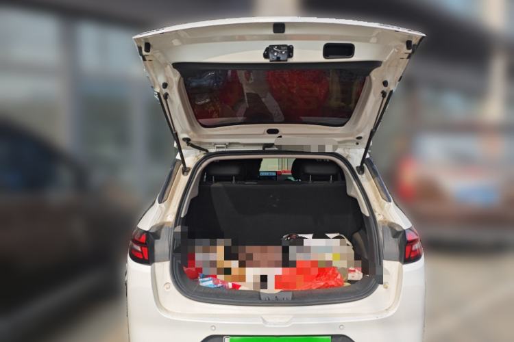 Used NETA AYA 2023 318 Lite