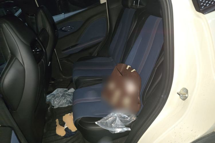 Used BYD Seagull 2024 Honor Edition 305km Dynamic Version Left Rear Seat