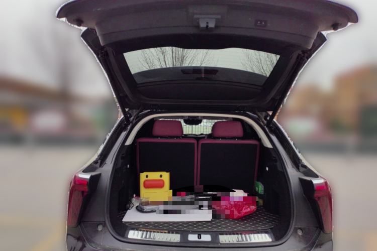 Used Hongqi E-HS9 2022 690 km Range Flagship Edition Six Seats
