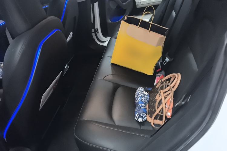 Used Tesla Model 3 2021 Revised Version II – Performance High-Performance All-Wheel-Drive Edition Left Rear Seat