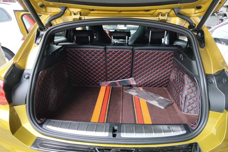 Used BMW X2 2020 sDrive25i Luxury Model with M Sport Package