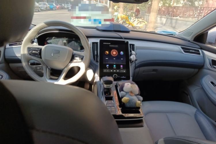 Used Rising ER6 2021 New Dynamic Edition 620km Smart Enjoyment Version
