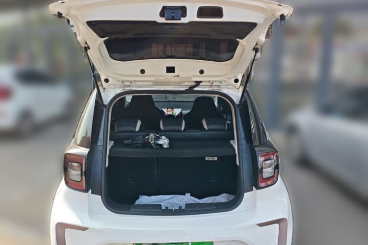 Used SOL E10X 2022 Flower Fairy Style Baby's Breath Trunk