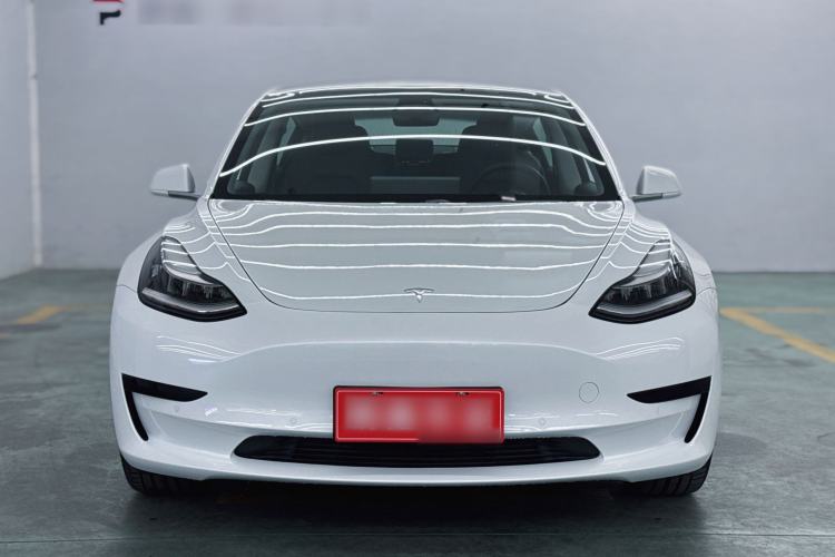 Used Tesla Model 3 2019 Standard Range Rear-Drive Upgraded Version Exterior 4