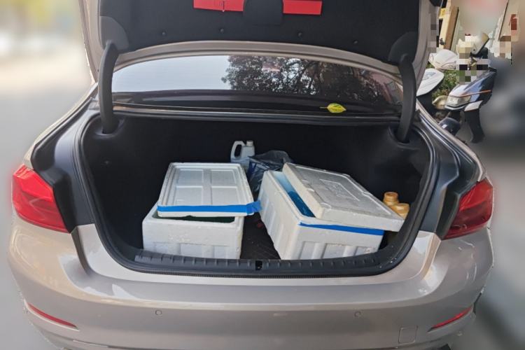 Used BMW 5 Series 2018 528Li Launch Special Edition