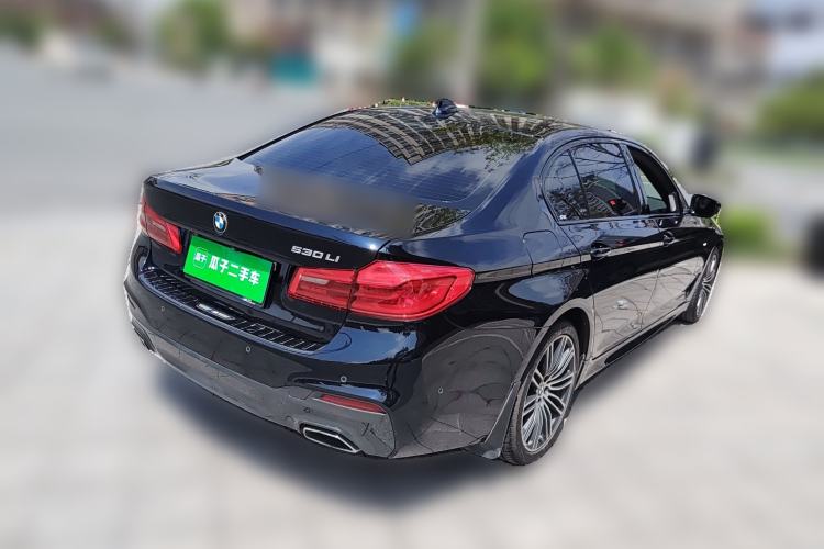 Used BMW 5 Series 2019 530Li Luxury Edition M Sport Package Exterior 5
