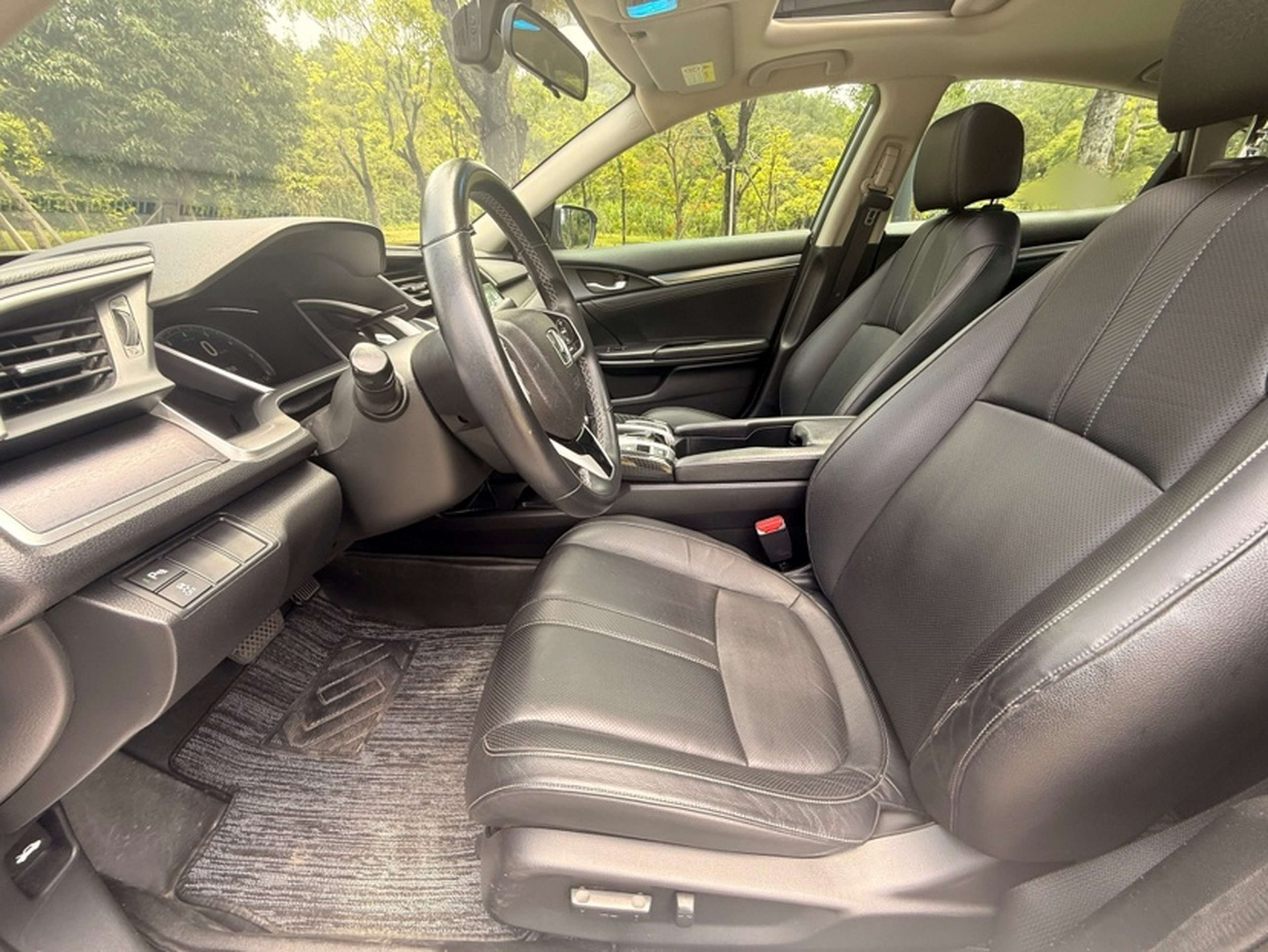 Interior delantero