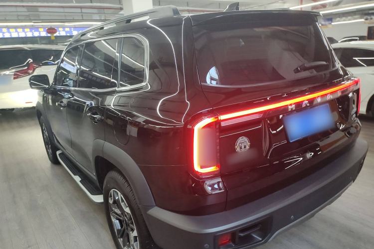 Used Haval DARGO 2024 2.0T DCT Chinese Rural Dog Edition