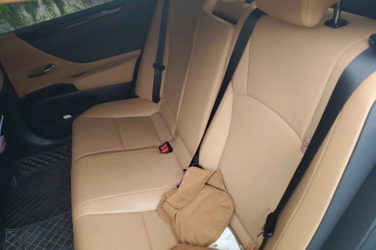 Used Lexus ES 2021 260 Excellence Edition Left Rear Seat