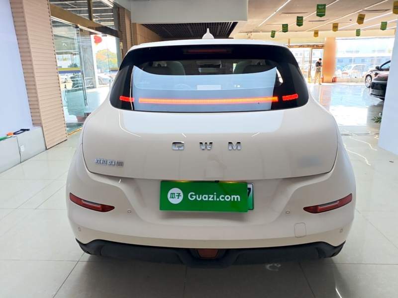 Used ORA Good Cat 2025 Model, 430 km Prestige Version — 5