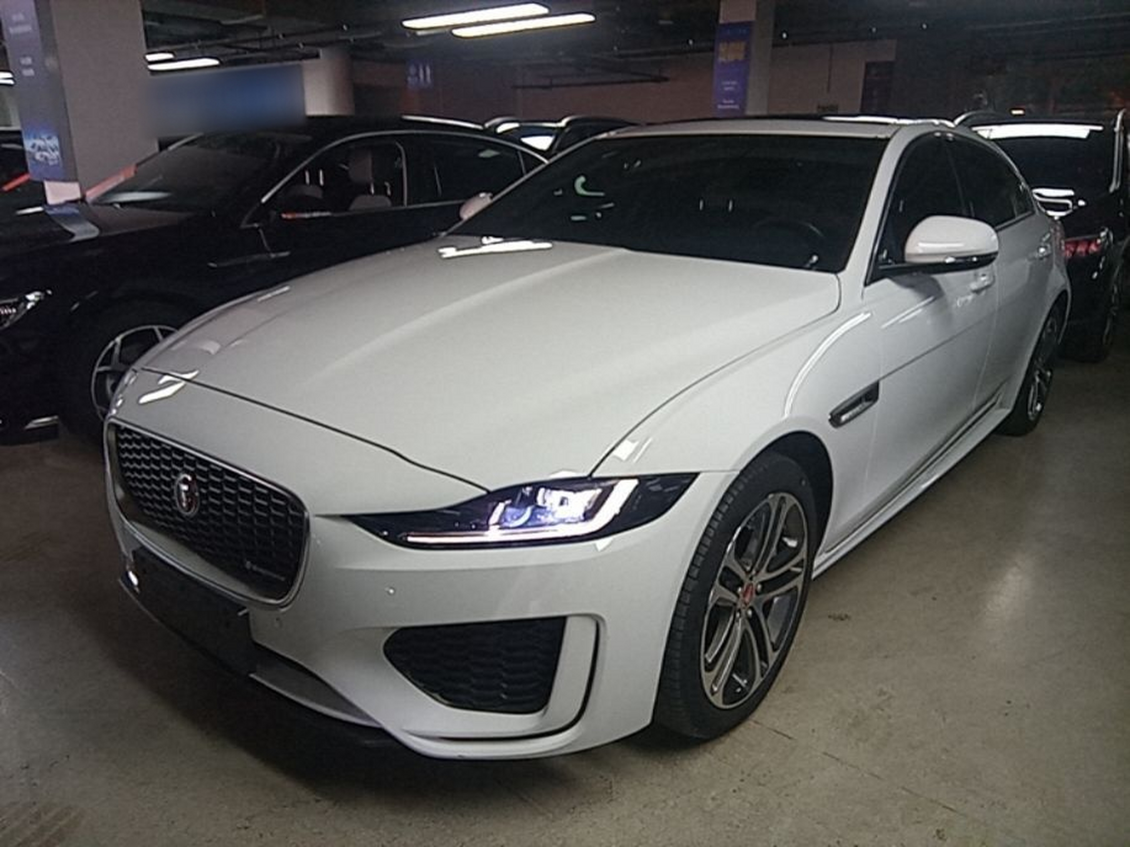 Under Front Bumper