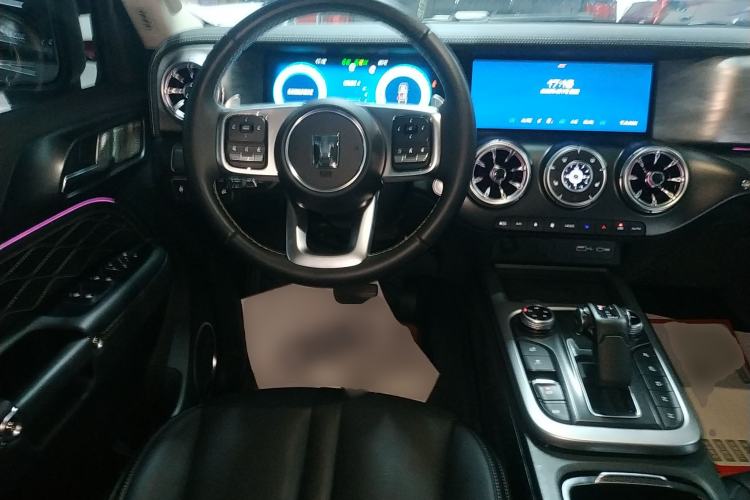 Used Tank 300 2024 2.0T Conqueror
