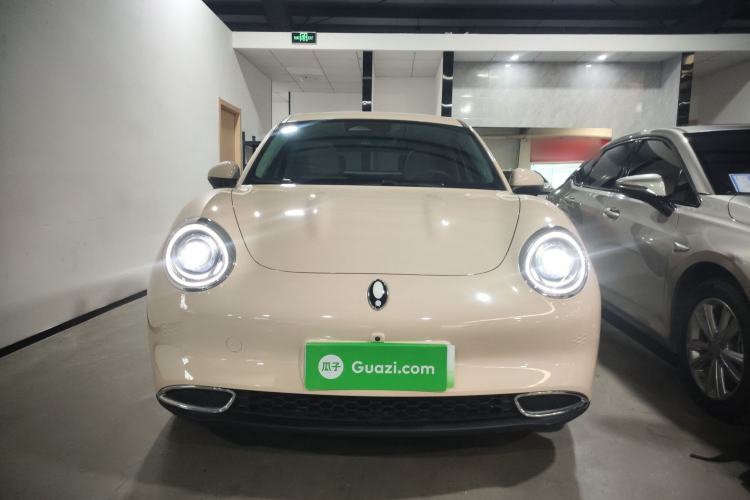 Used ORA Good Cat 2024 401 km Luxury Version