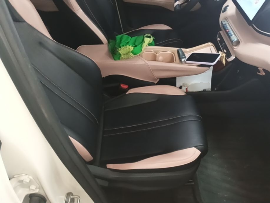BYD Seagull 2023 Free Edition — снимка 19
