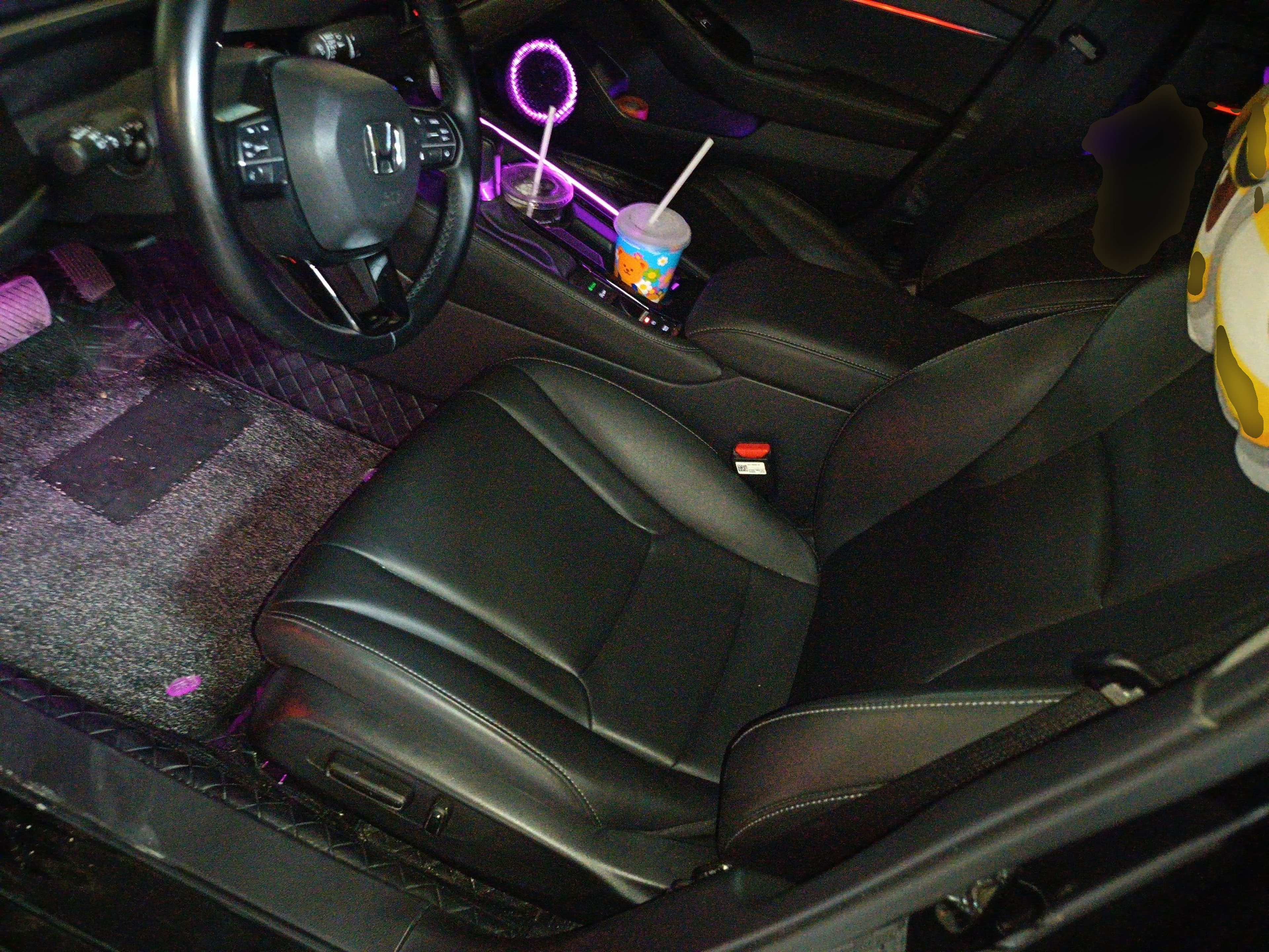 Interior delantero