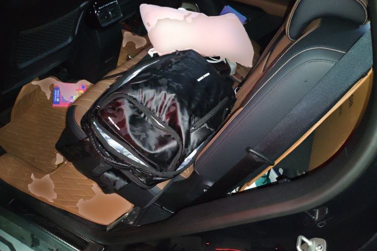 Used BYD Tang New Energy 2023 DM-i Champion Edition 112KM Prestige Model Left Rear Seat