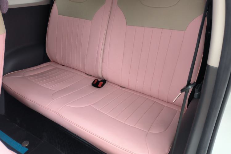 Used Qiyuan Lumin 2025 210 km Fragrant Edition
