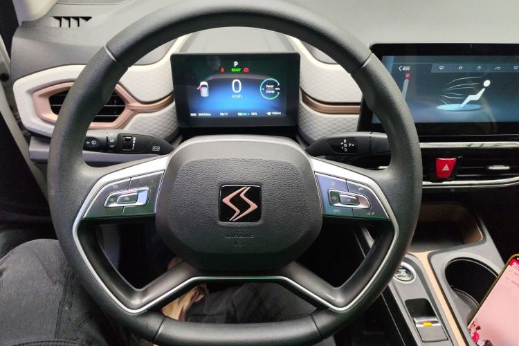 Used SOL E10X 2022 Flower Fairy Design Four-Leaf Clover