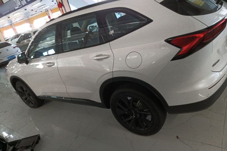 Used Haval H6 2024 1.5T Two-Wheel Drive Pro