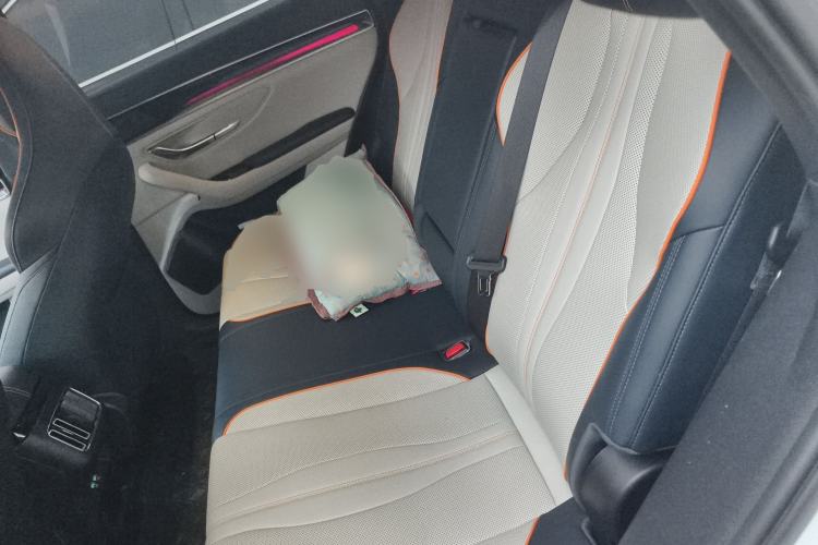 Used BYD Song PLUS New Energy 2021 DM-i 110KM Flagship PLUS Left Rear Seat