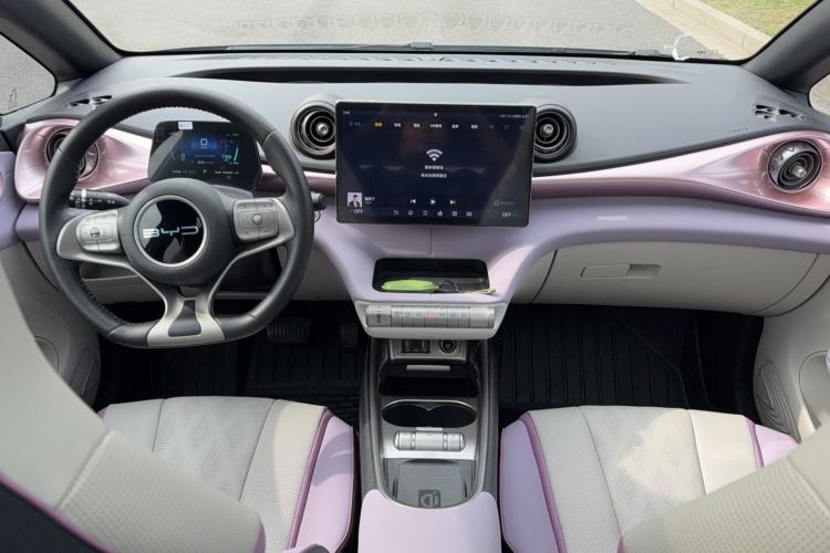 Used BYD Dolphin 2023 401km Knight Edition Center Console