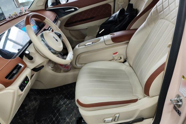 Used ORA Good Cat 2023 401 km Standard Range Prestige Version Lithium Iron Phosphate Left Front Seat