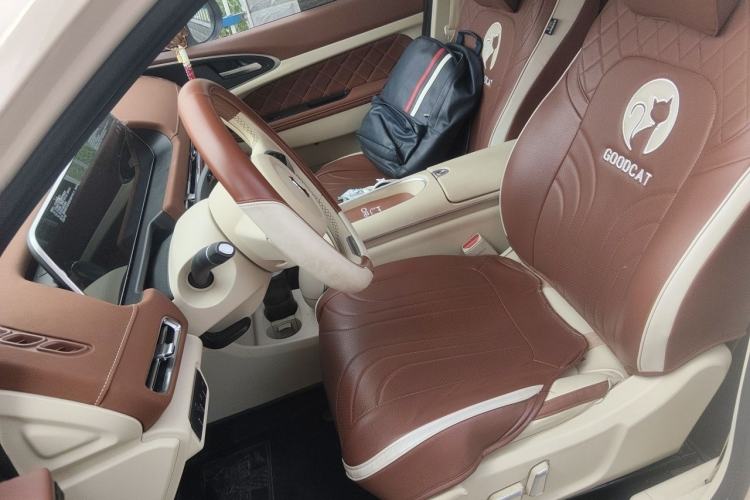 Used ORA Good Cat 2023 401 km Standard Range Luxury Version Lithium Iron Phosphate