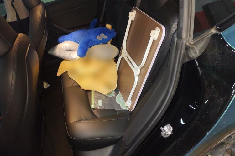 Used Tesla Model 3 2021 Performance High-Performance All-Wheel-Drive Version