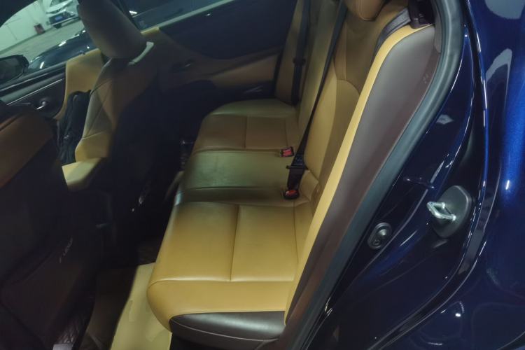 Used Lexus ES 2020 300h Premier Edition Left Rear Seat