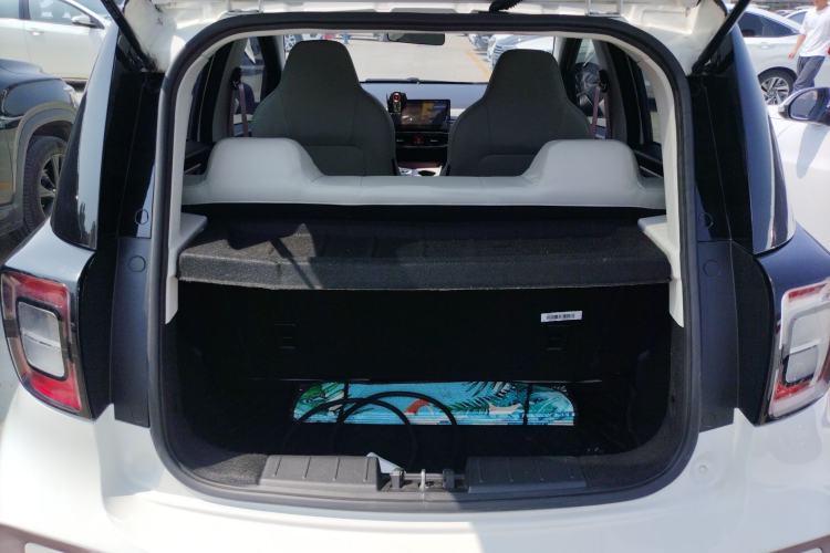 Used SOL E10X 2022 Flower Fairy Design Dandelion