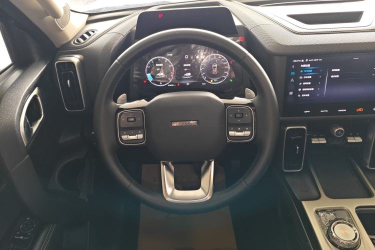 Used Haval DARGO 2024 2.0T DCT Chinese Rural Dog Edition
