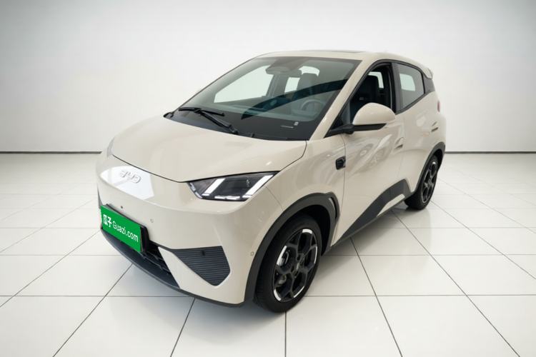 Used BYD Seagull 2025 Smart Drive Version 305 km Freedom Edition