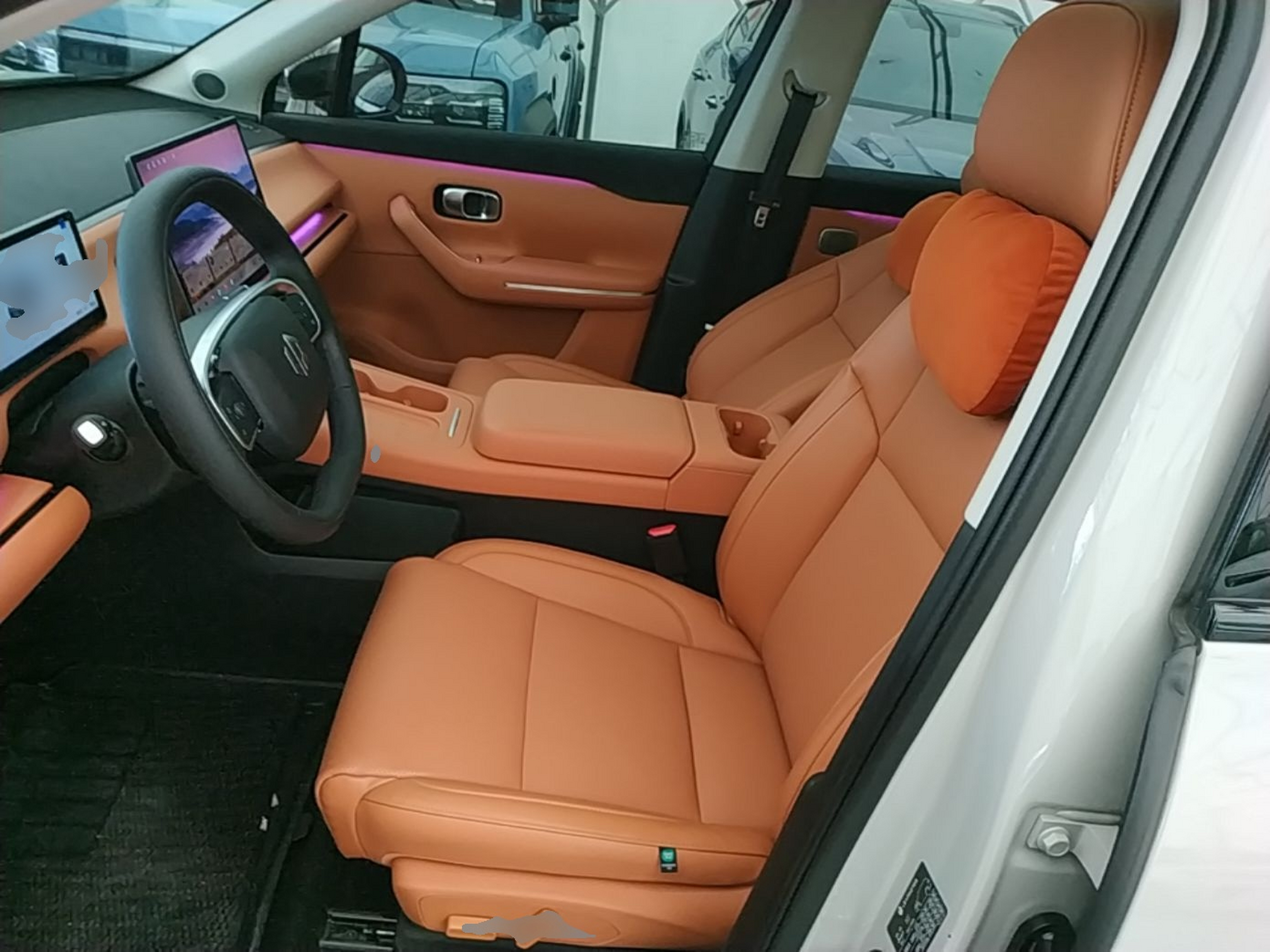 Interior delantero